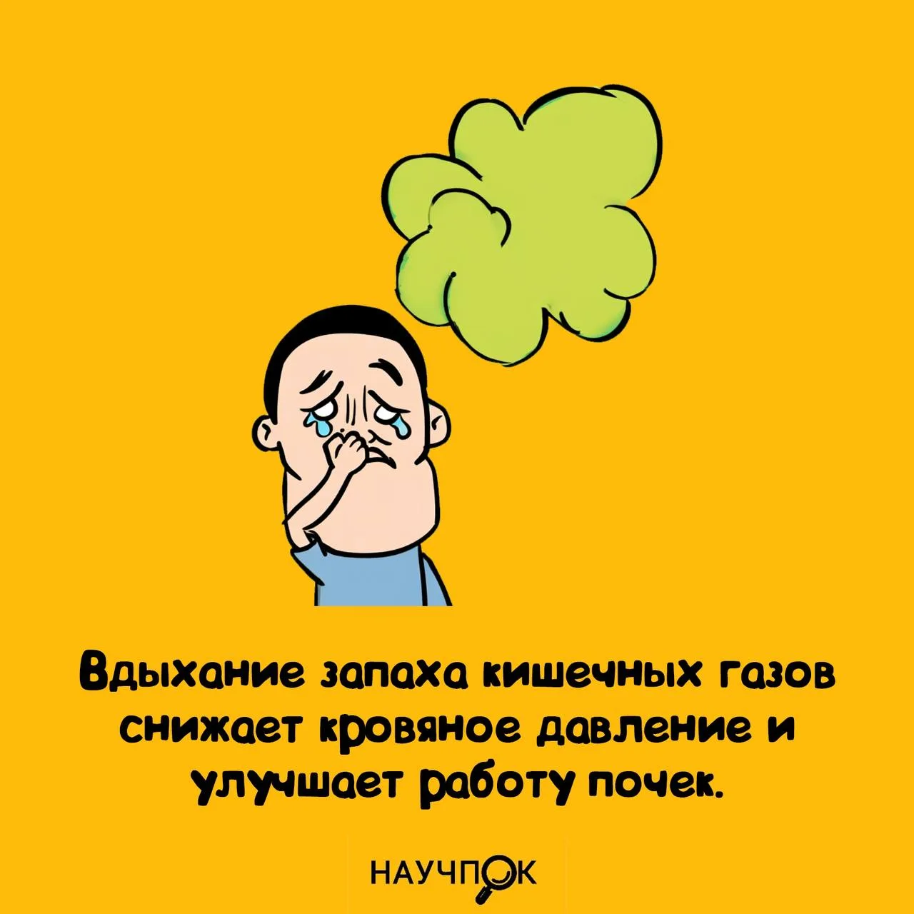Фарт полезен для здоровья 🤔