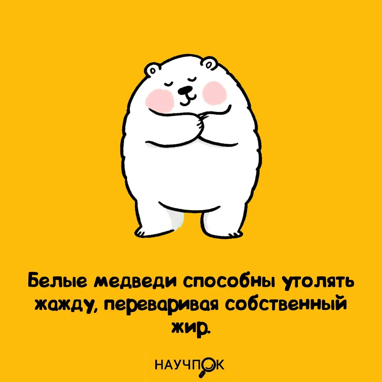 Жажда? Жир в помощь 😀