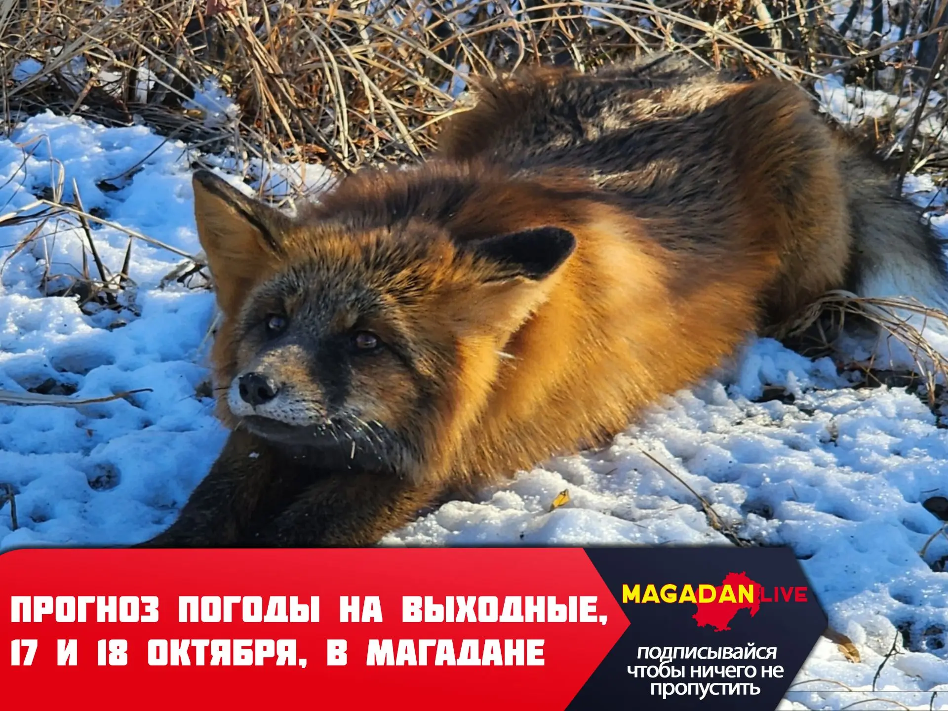 В эти выходные в Магадане ожидается переменная облачность без осадков.