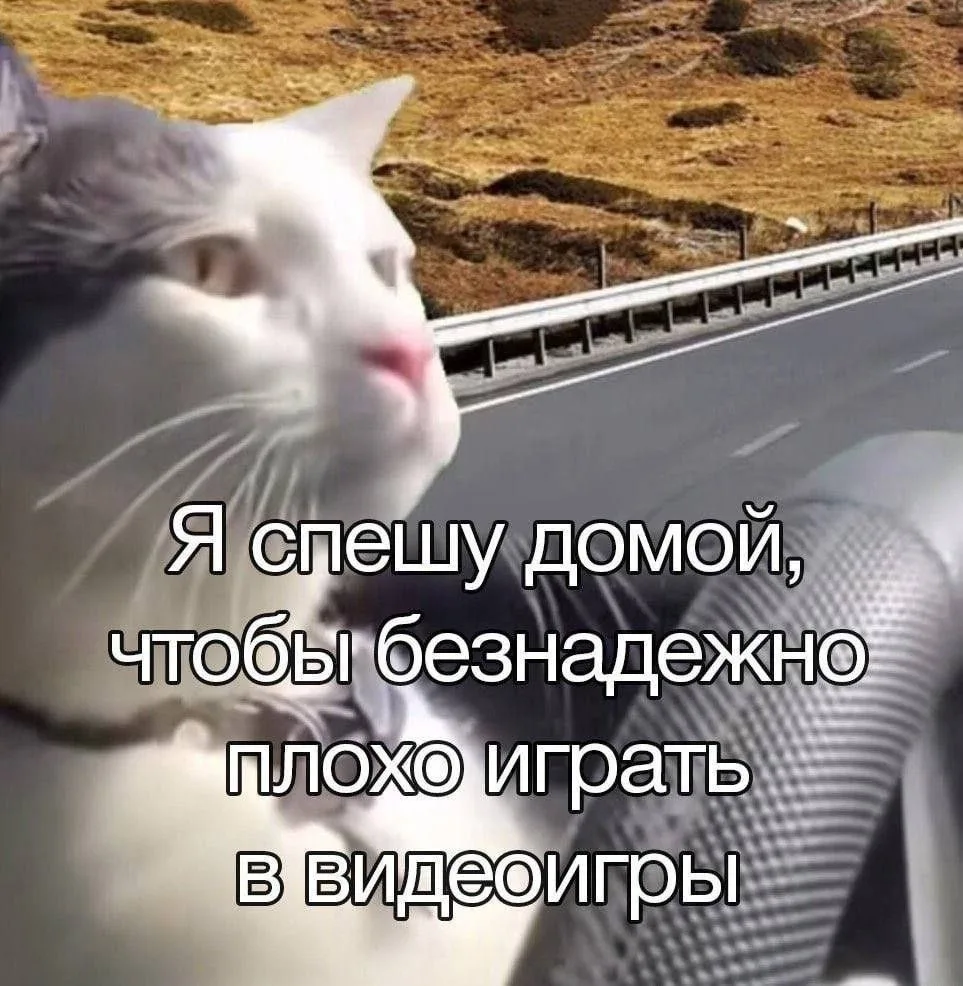 я спешу домой, чтобы безнадежно плохо играть в видеоигры