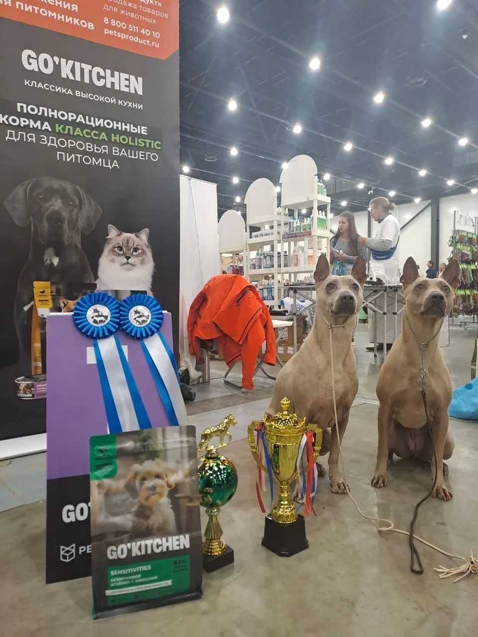 Чемпионский рацион: дарили подарки от GO'KITCHEN на «Зоошоу» в Санкт-Петербурге! 🏆