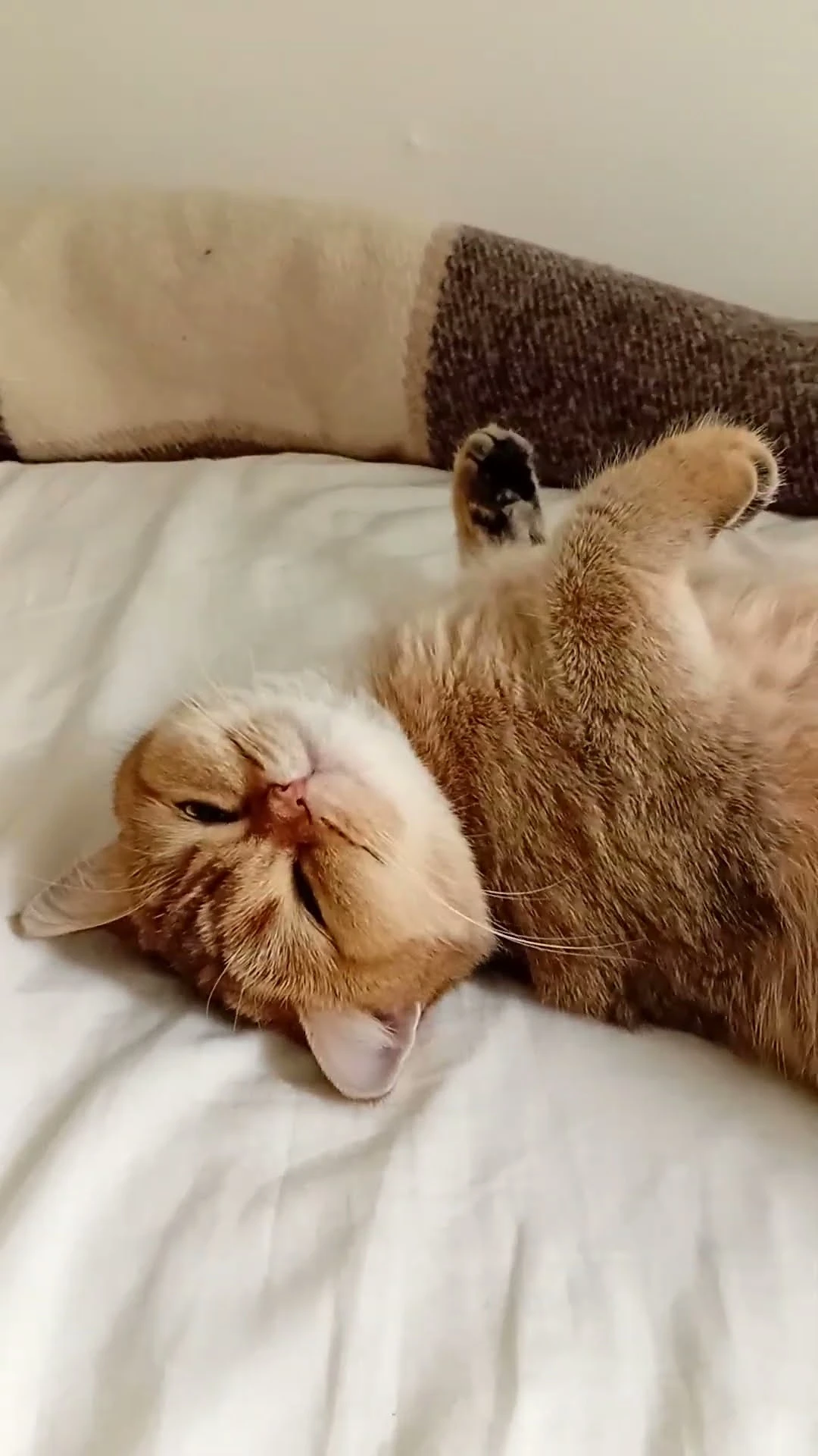 🌙 Неделя закрыта