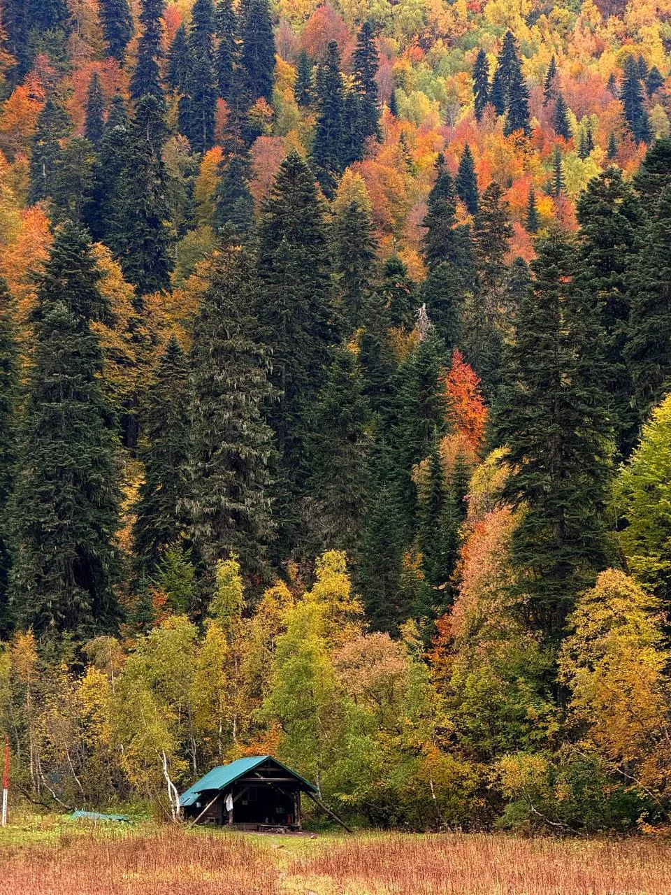 ⛰ Осенний Кардывачинск