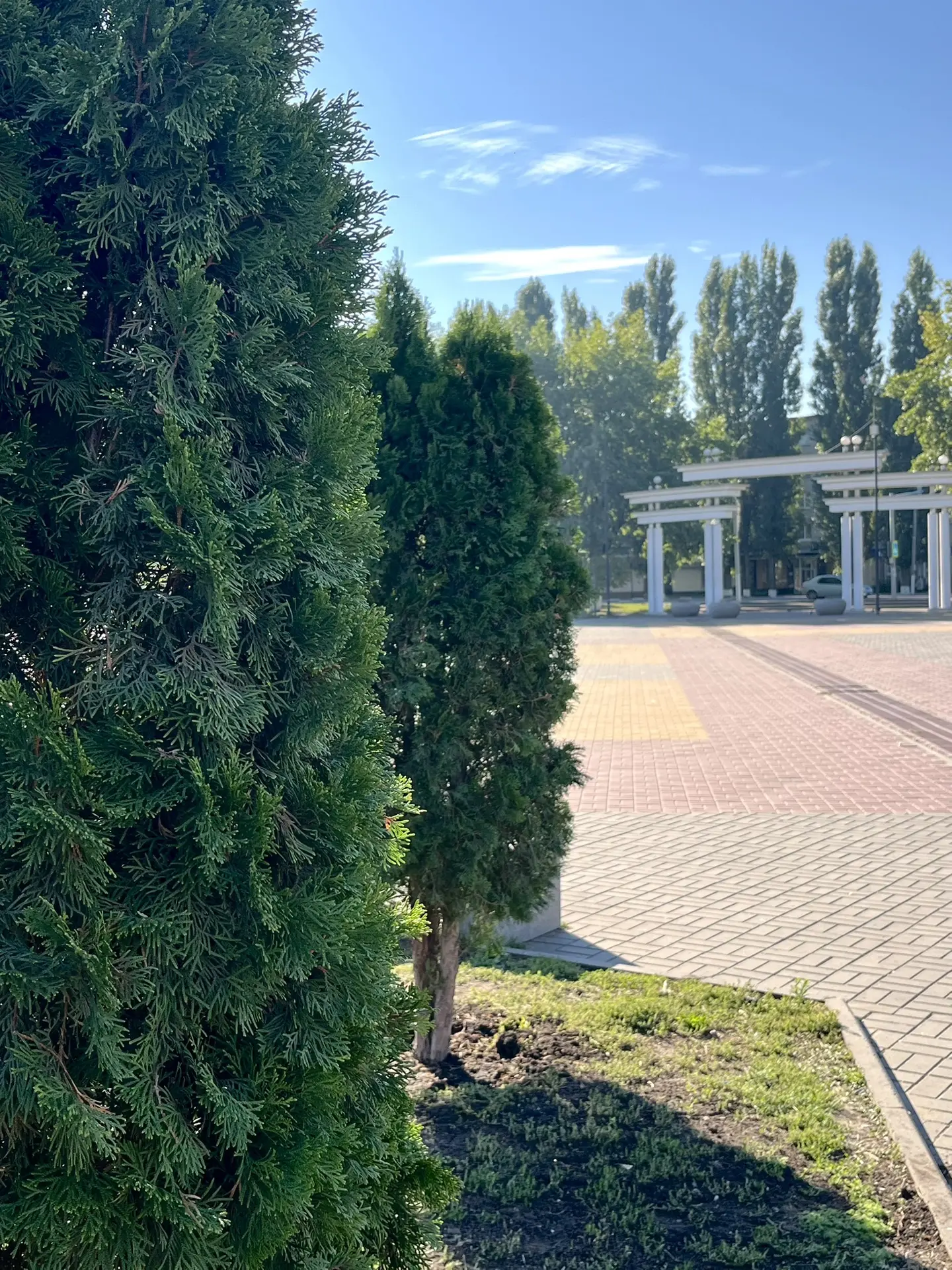 Пока одни повреждают зелёные насаждения и не уважают чужой труд, другие делают всё, что...