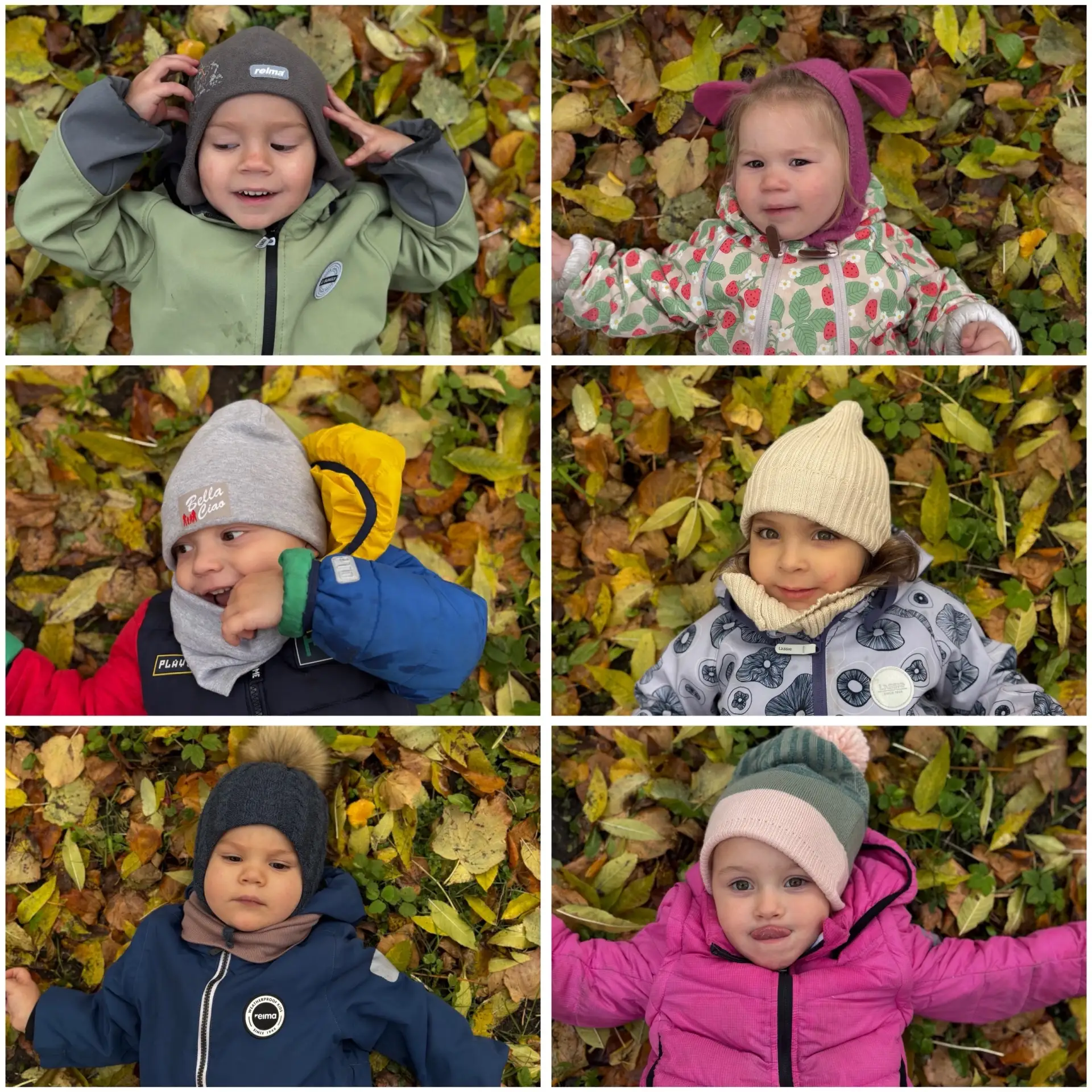 🍂 Малыши — настоящие исследователи! 🍁На одной из прогулок наши крохи отправились в ма...