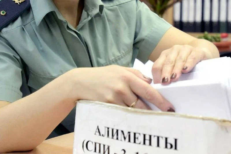 Кировский облсуд заменил штраф за неуплату алиментов на исправительные работы