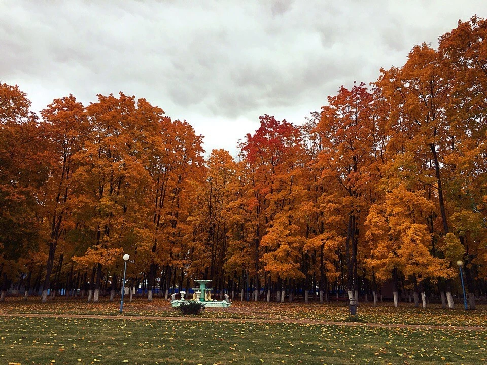 Осень в Прохоровке 🍁