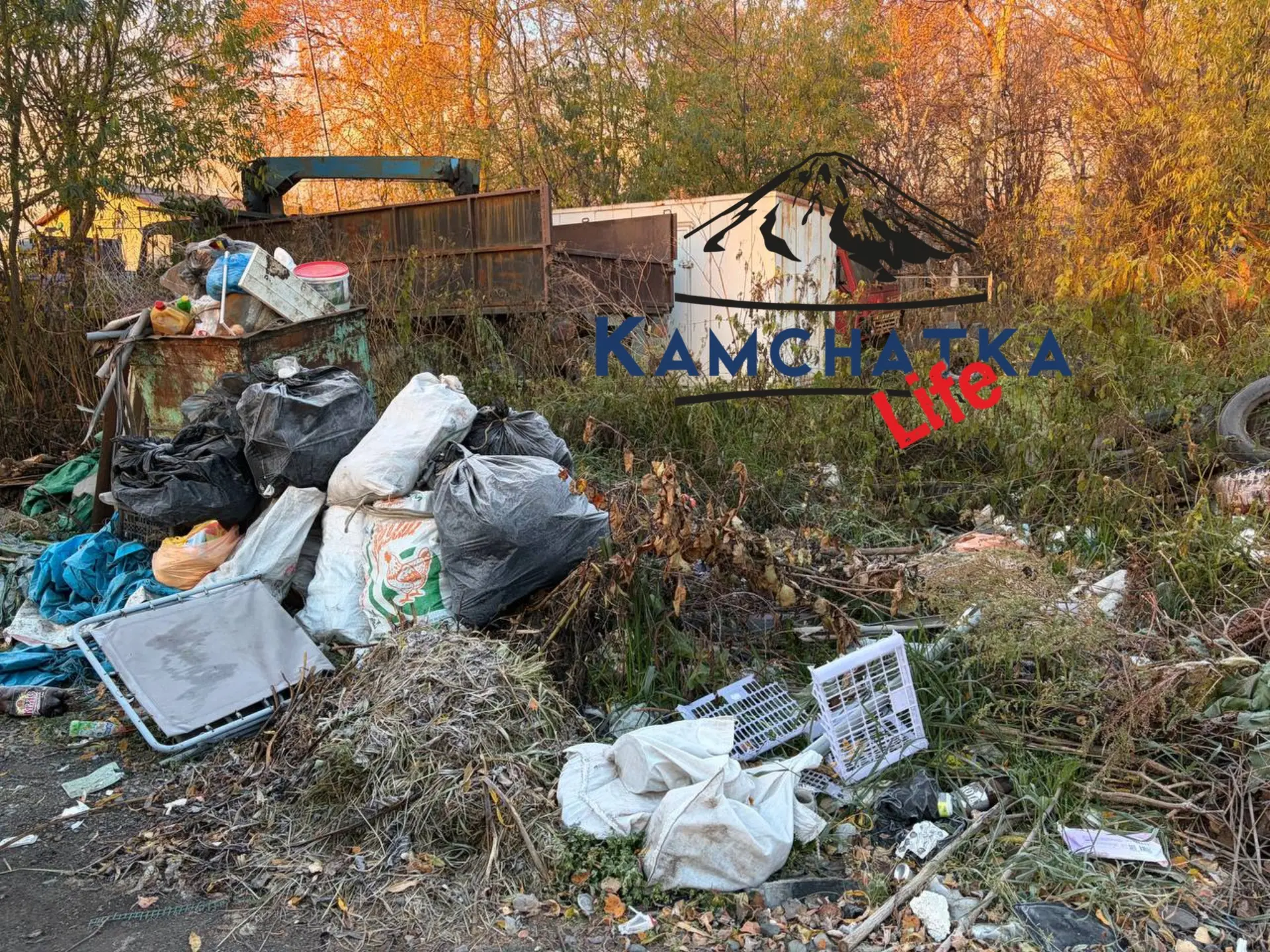 Один бак на две улицы и медведи в качестве санитаров🐻