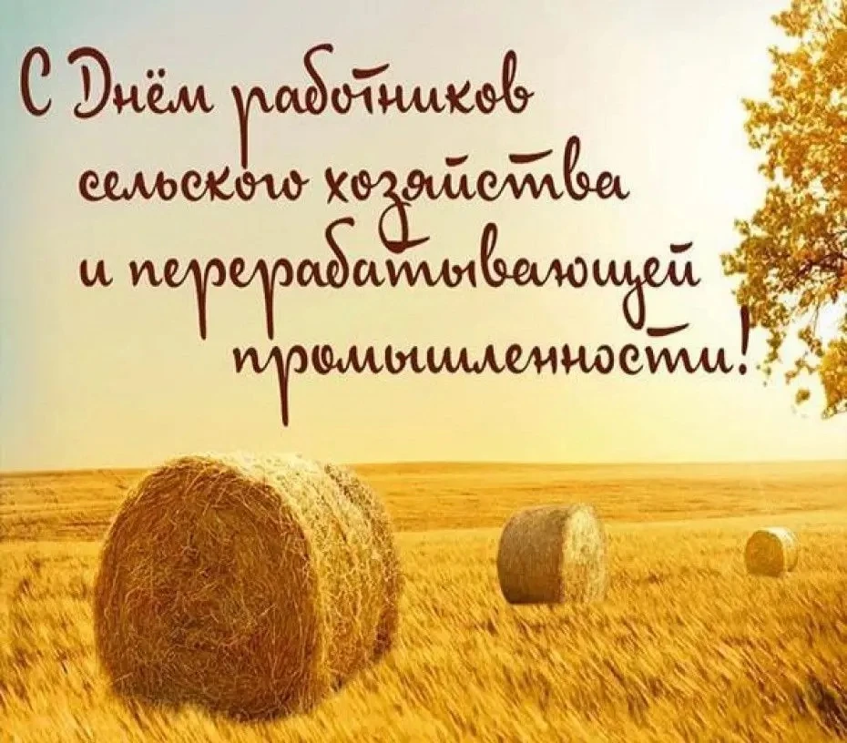 День работника сельского хозяйства и перерабатывающей промышленности