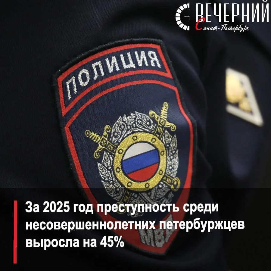 ⚖️ В Петербурге обсудили новые меры защиты несовершеннолетних