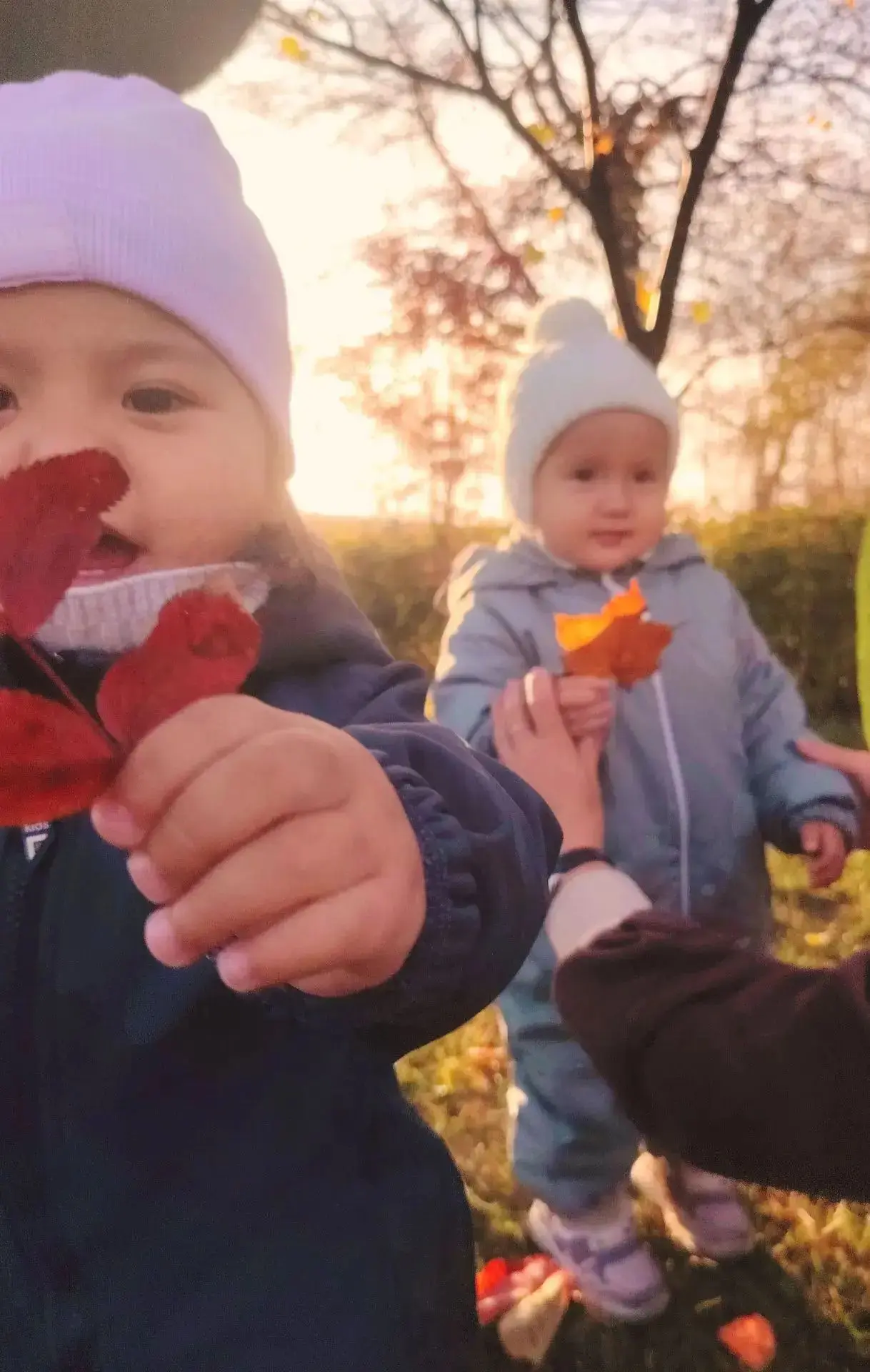 🍁🍂 Флешмоб «Листопад в ладошках» 🍂🍁