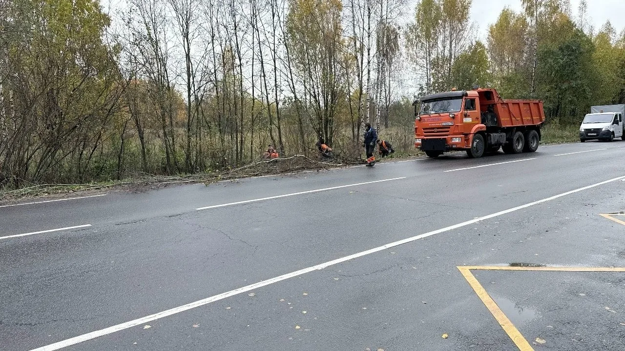 Прочисткой поросли, мешающей пешеходам или культурным посадкам, обычно занимаются садов...