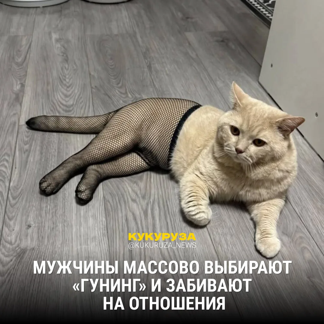 Изображение 1 к публикации «Кукуруза | Клевые новости России»