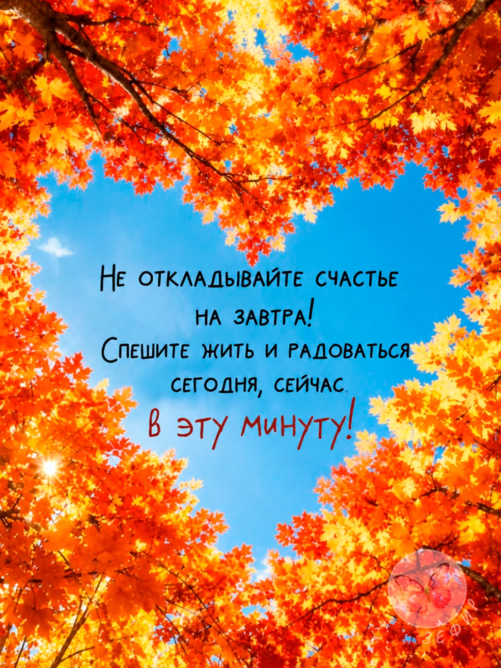 З Е Ф И Р
