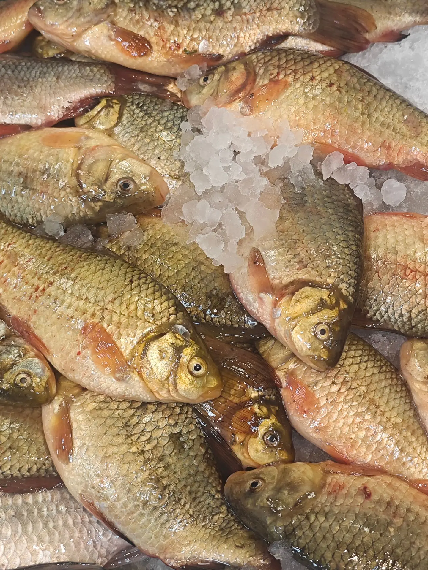 🐟 «РЫБНЫЙ ДВОРИК» РАСШИРЯЕТ АССОРТИМЕНТ! 🐟