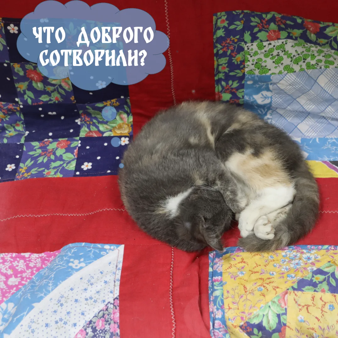 ЧТО ДОБРОГО СОТВОРИЛИ?