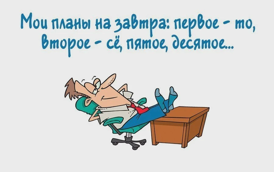 Планы на завтра