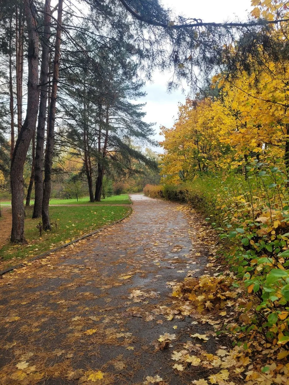 🍂 Прекрасным осенним пейзажем из парка "Оптимист" делится наша читательница