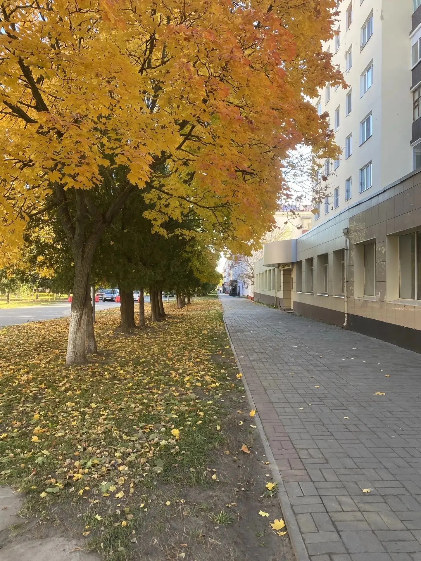 Доброе утро, Зеленодольск 🍁