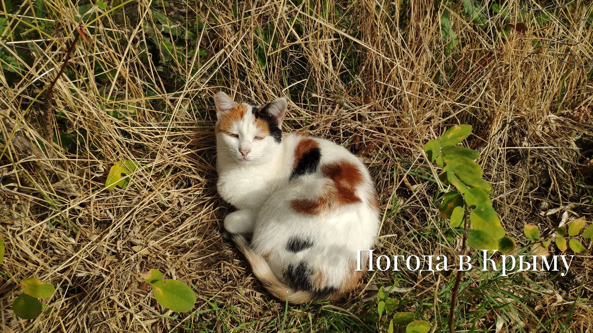 Доброе утро!