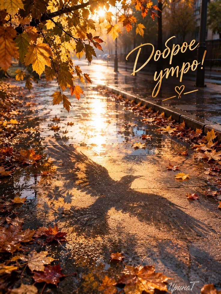Поздравления для Настроения💌