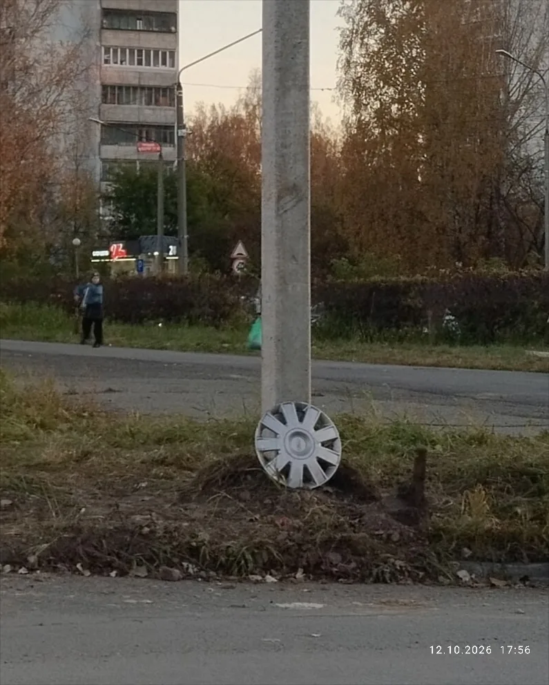 Чья потеряшка? 😉
