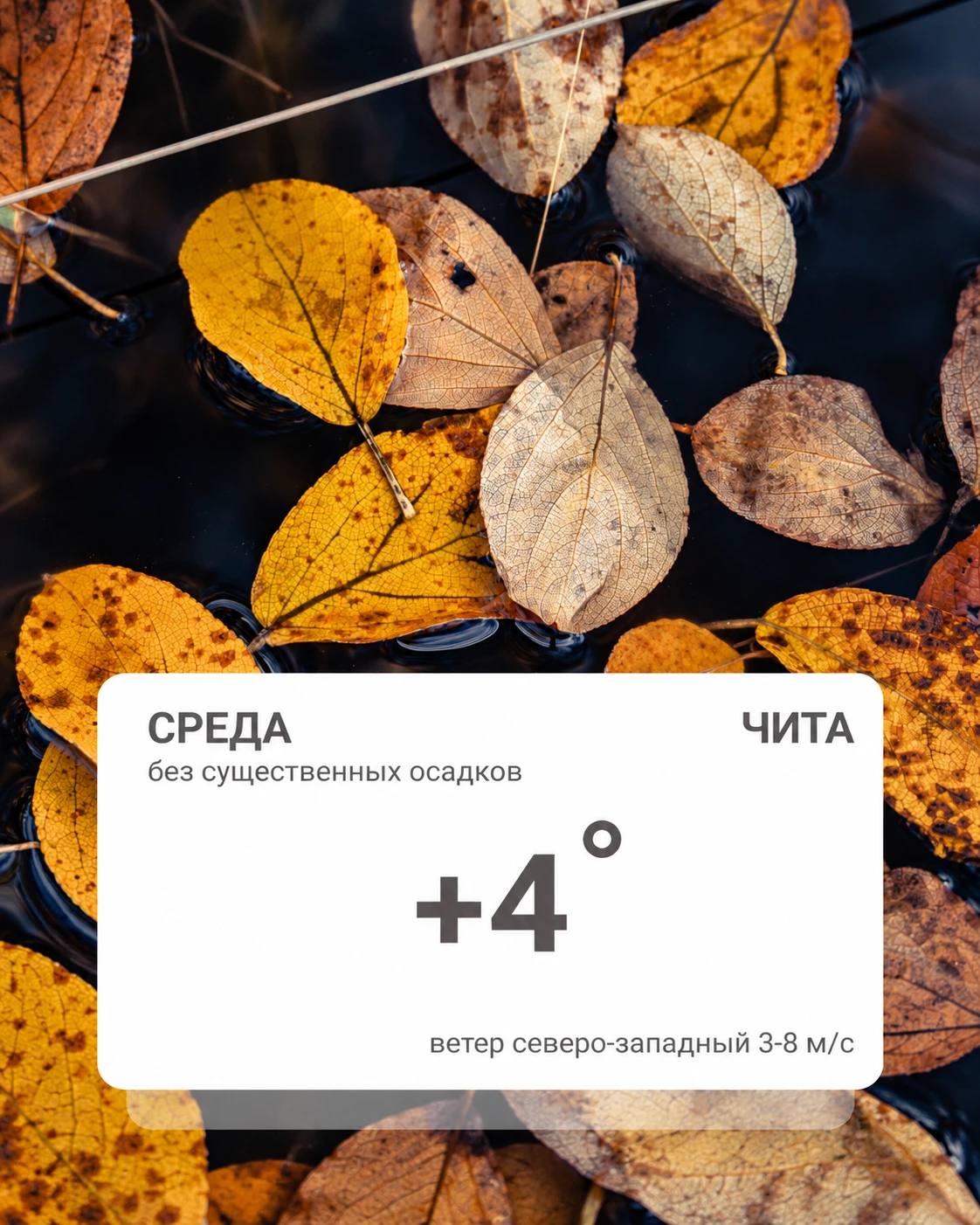 Погода на сегодня.