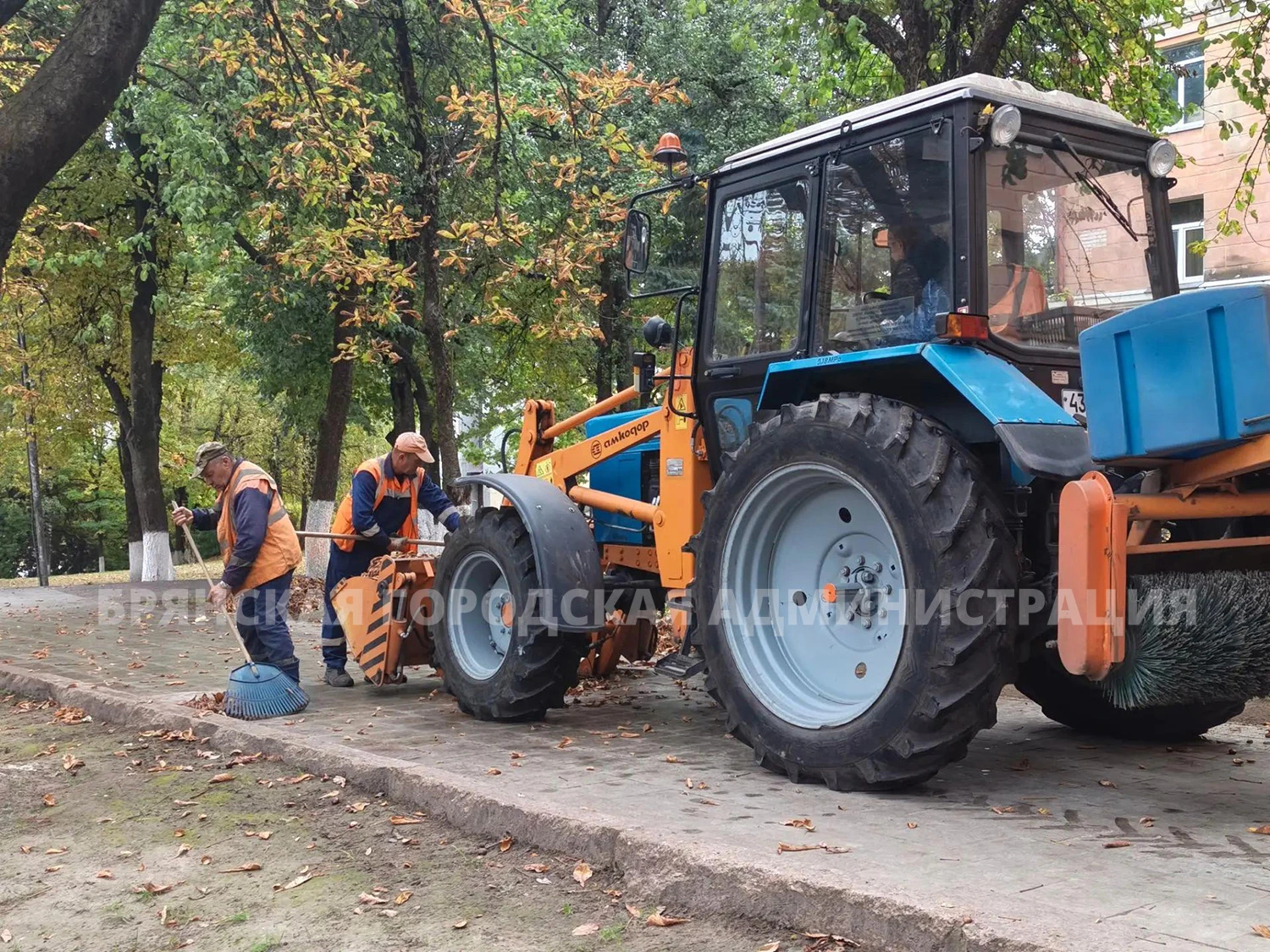 А листья падают и падают