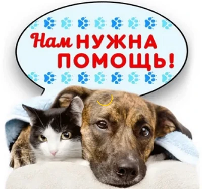 Дорогие друзья!