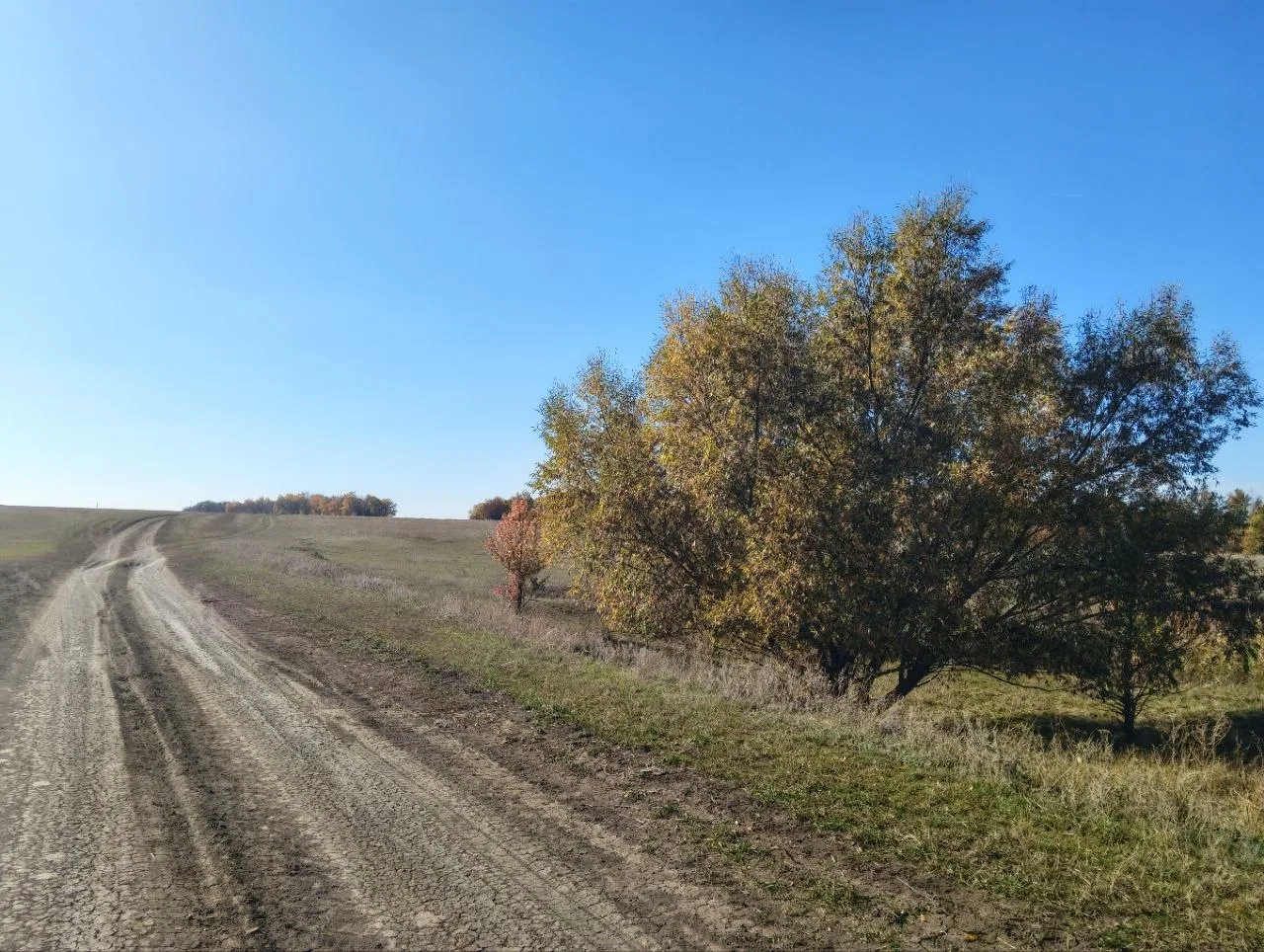 Бабье лето.. В степи около нашего села