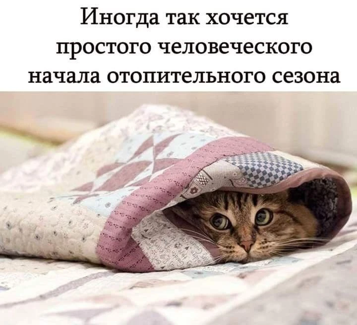 👏Теперь официально: отопительный сезон в Оренбурге стартует с 15 октября.