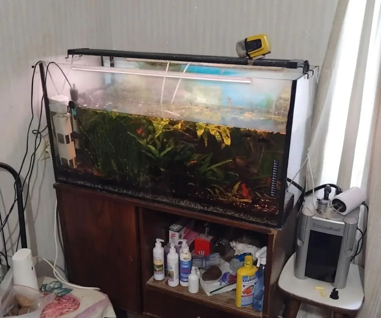 Продам аквариум 100×50×40 с оборудованием и рыбками, плюс ещё два аквариума. Всё за 15т.