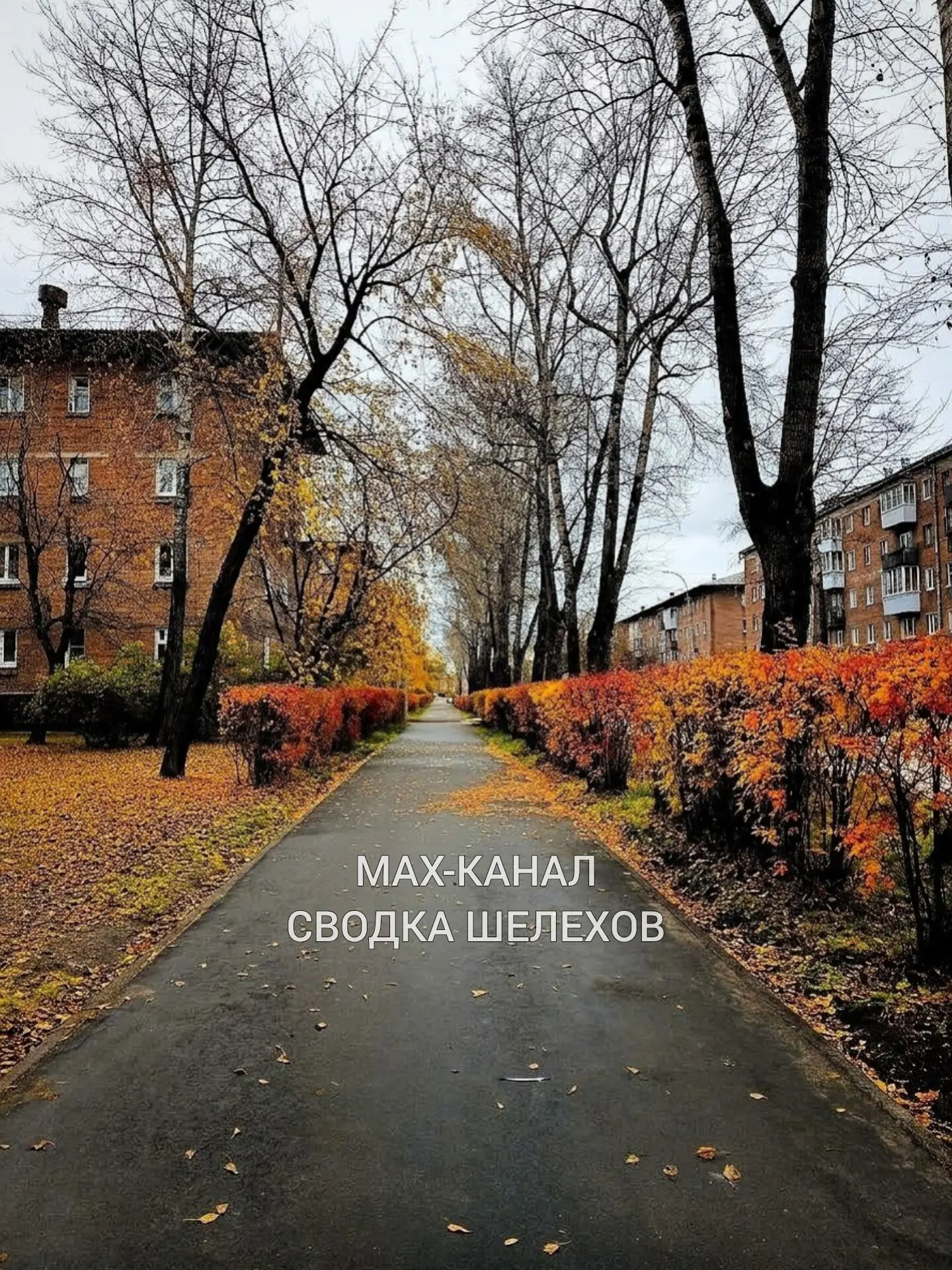 🧡 Шелехов умеет быть красивым. Осень это доказывает лучше всего 🍂