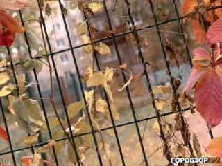 Завтра в Башкирии будет тепло, но утром возможна дымка