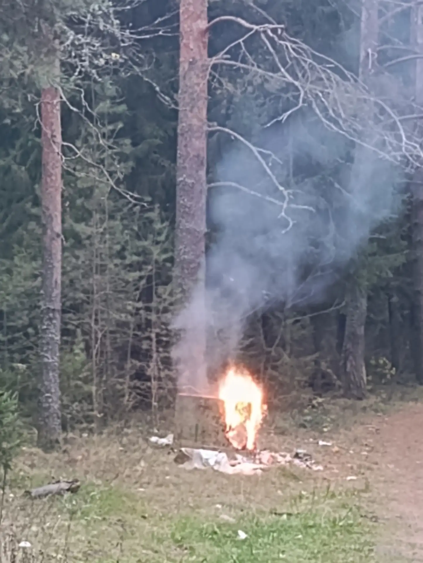 Люди вы что творите посещая лес. Утром заметил с Подгоряны Шихово что горит . Рядом из ...