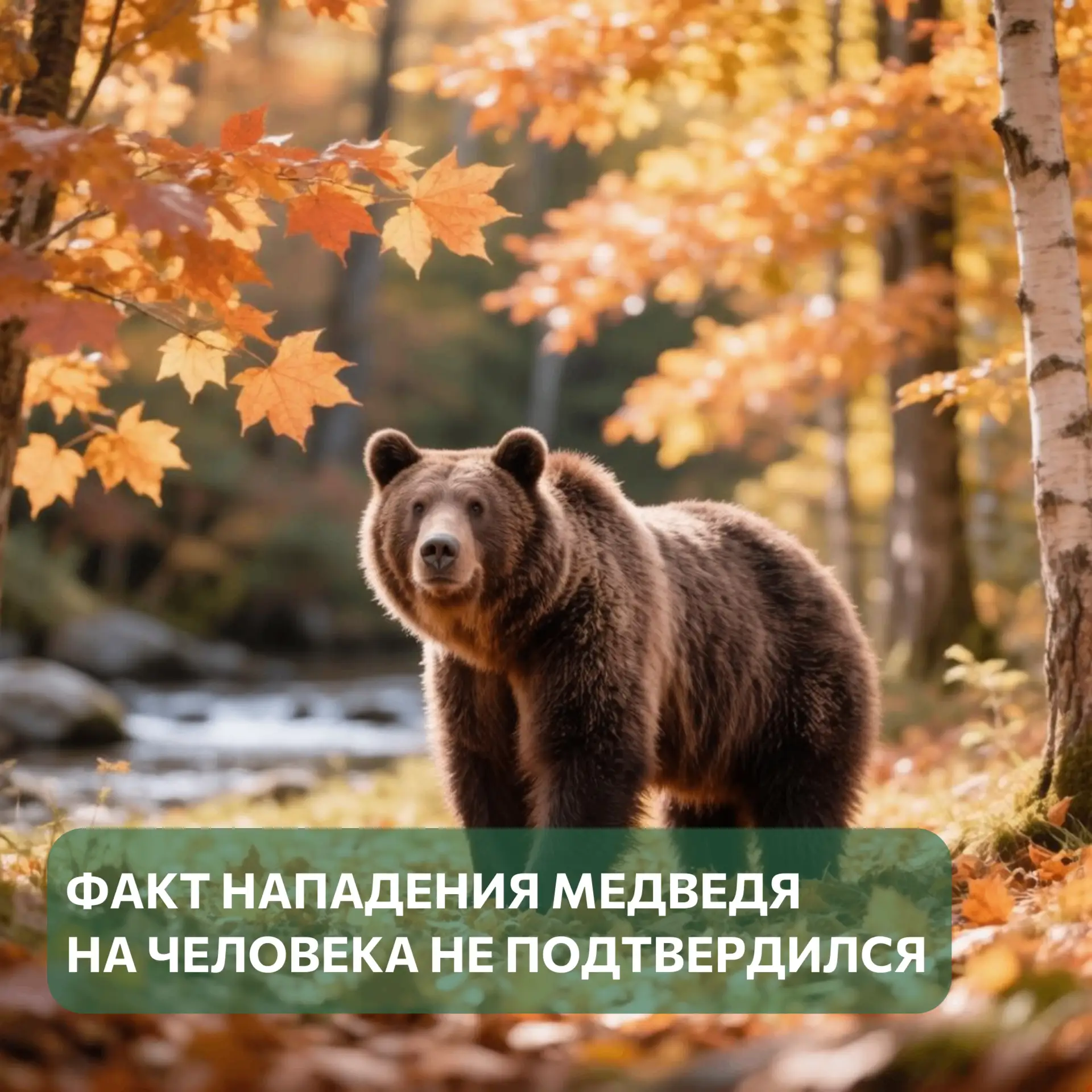 В карельских СМИ и соцсетях появилась информация о том, что жительница Ведлозера в Пряж...