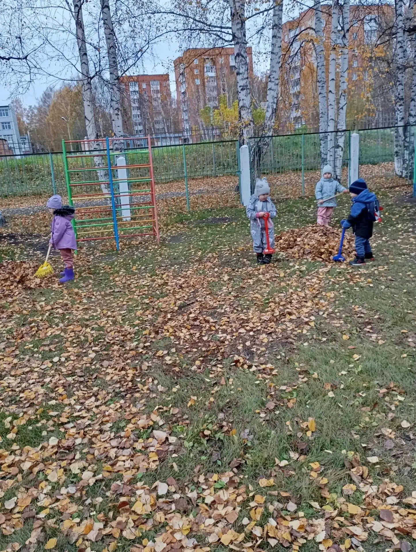 🍂 Золотая осень дарит нам столько красок — и столько работы на участке! 🍁Сегодня наши...