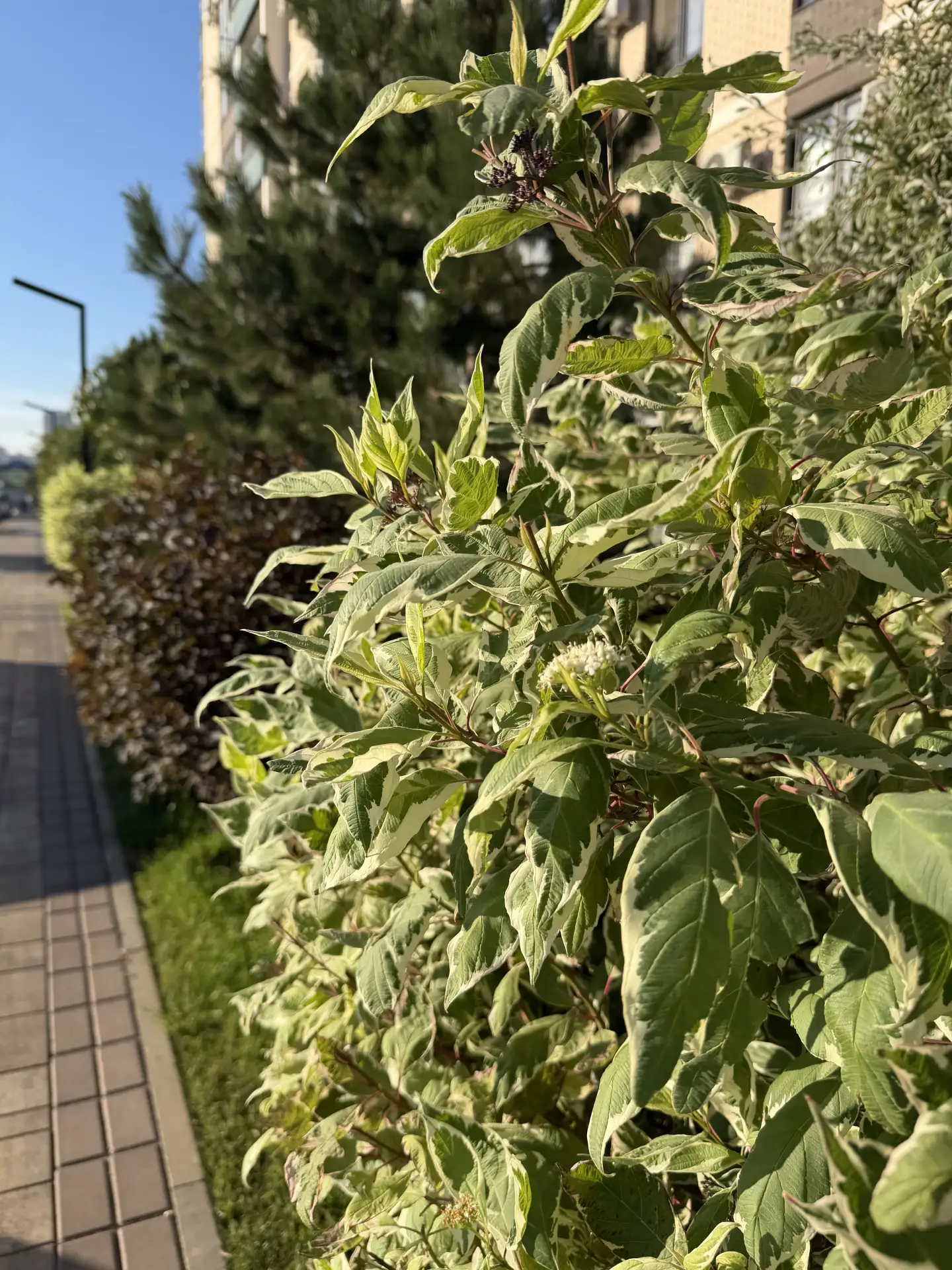 Наше утро ☀️