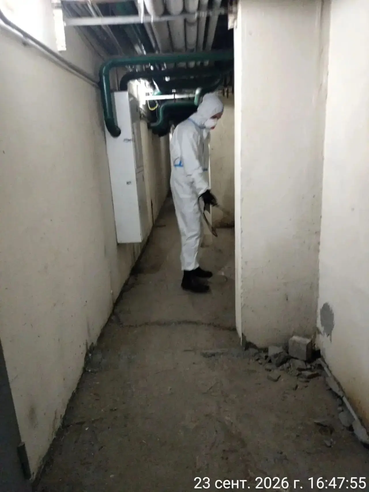 Отчет о проделанной работе 👷🏻