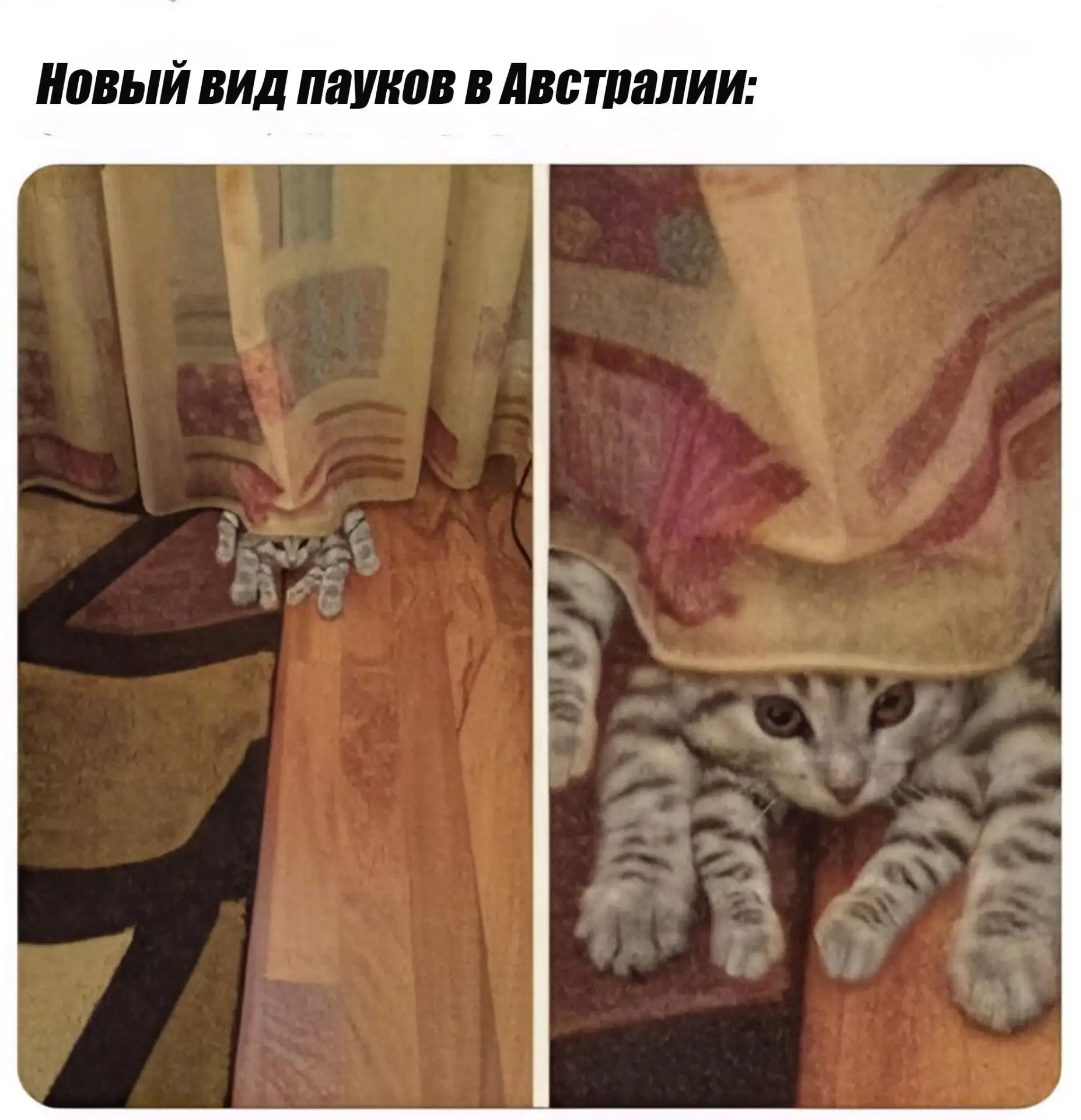Подпишись на юмор 😂