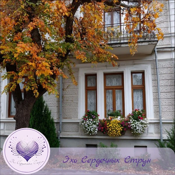 🌱"Брожу в ноябрьской тишине по старым улочкам среди низкорослых двухэтажных домиков. В...