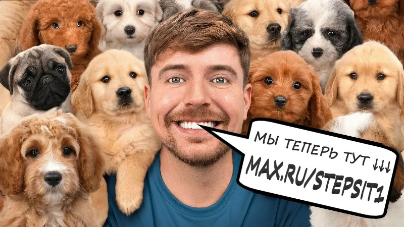 063.(MrBeast) - Я приютил 100 собак!