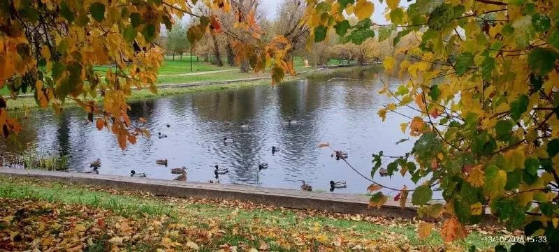 🍂 Южное Бутово в осенних красках