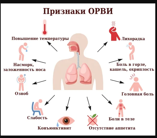 Почувствовали недомогание, температуру, кашель или насморк? Не рискуйте здоровьем — дов...