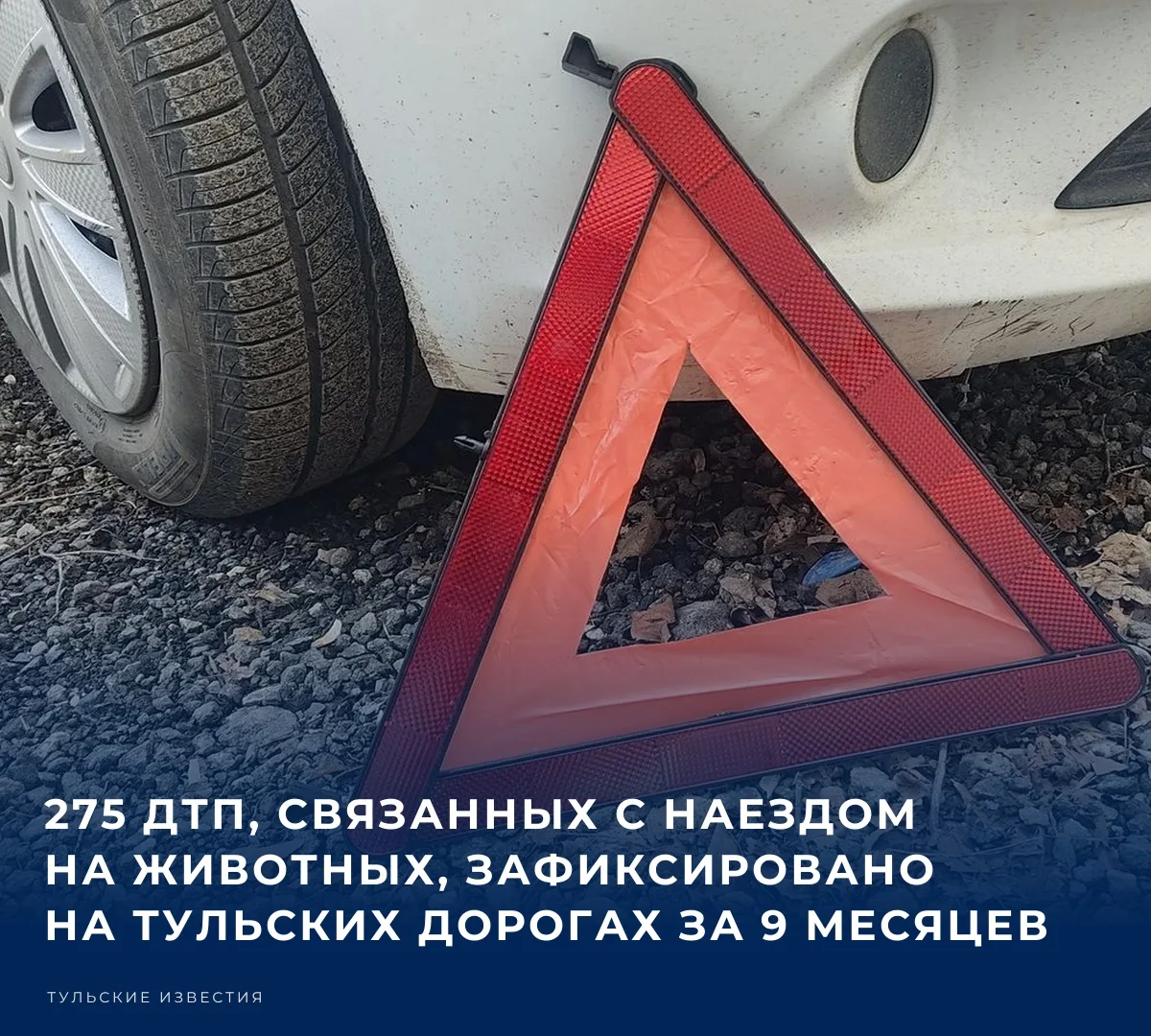 🚗 Тульская Госавтоинспекция оповестила участников дорожного движения об опасности появ...