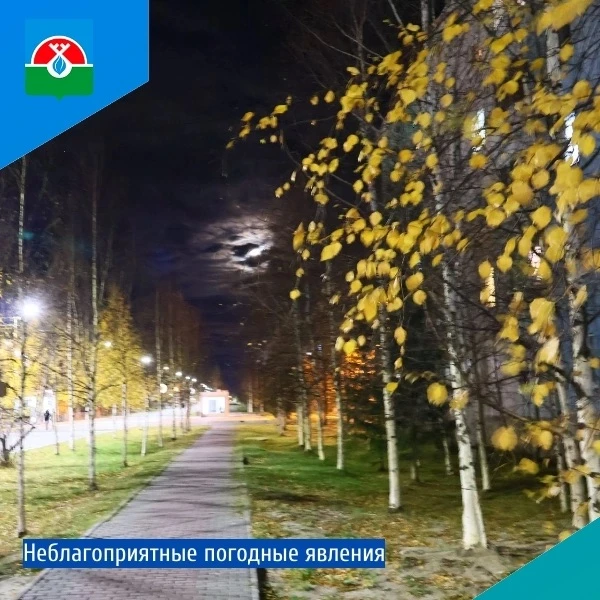 17 октября 2026 года на территории Ямало-Ненецкого автономного округа прогнозируются не...