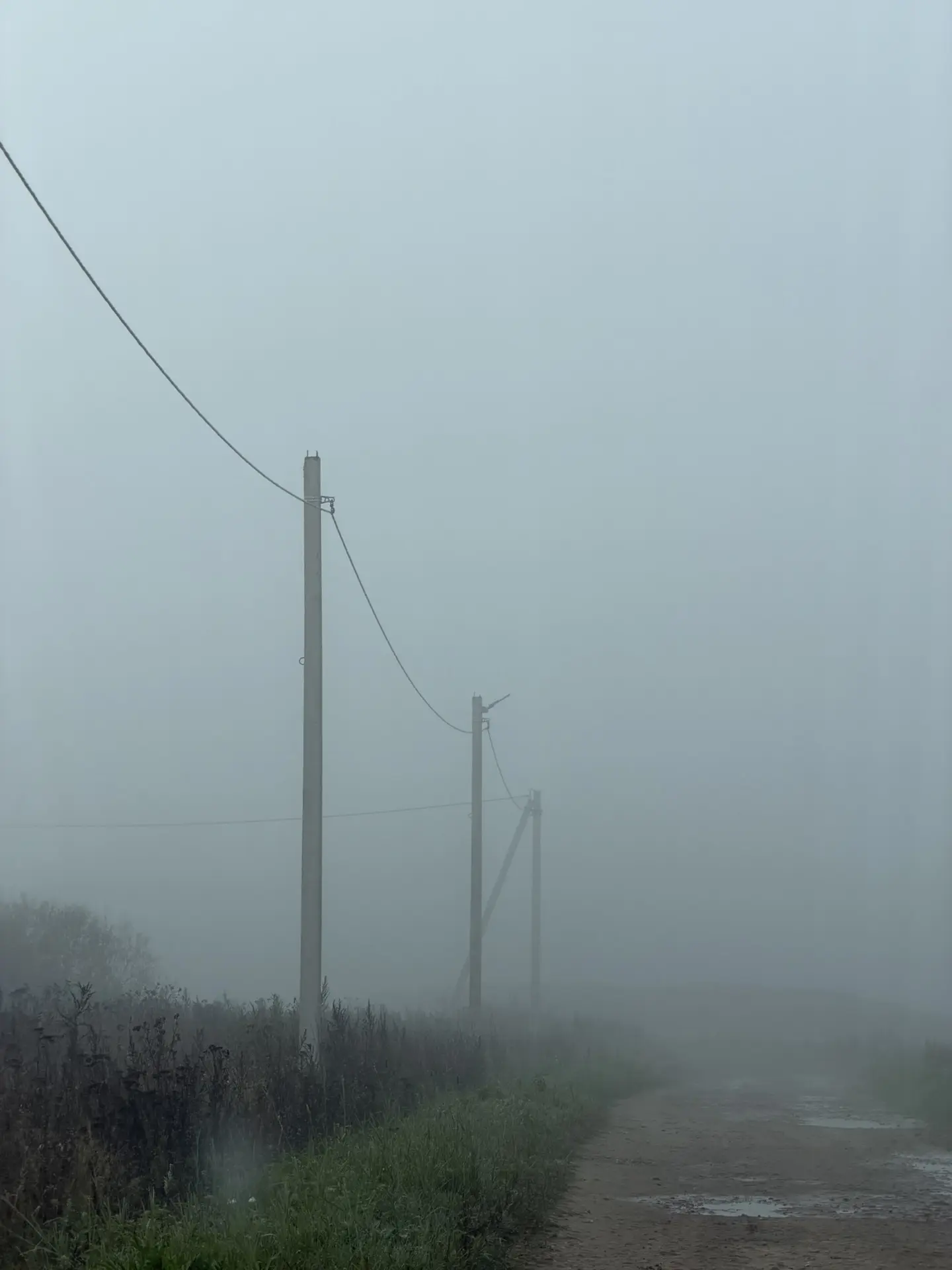 Доброе утро 🌞