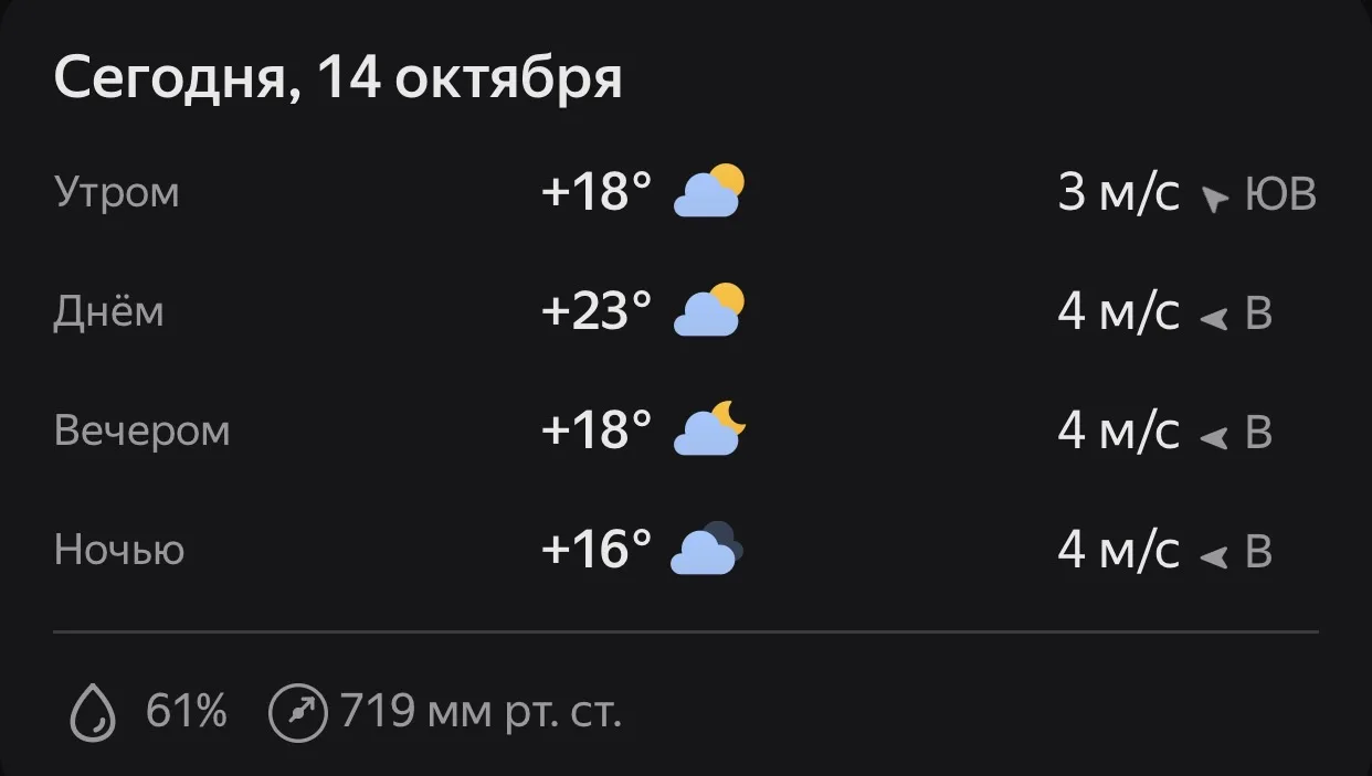 Сегодня 14 октября — день, когда погода всё ещё не может решить, хочет ли она быть осен...