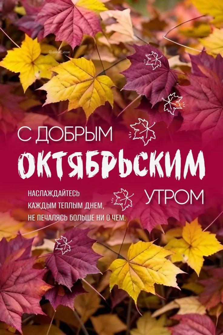 https://max.ru/channel_Sdobrimytrom