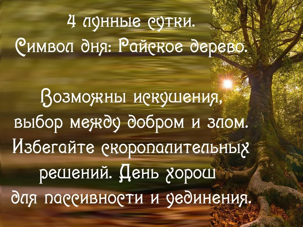 4-й лунный день  с 13.10 10:46 по 14.10 12:06 MSK.